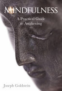 Mindfulness — Joseph Goldstein